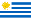 We send flowers abroad to Uruguay