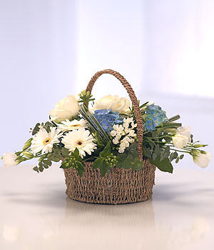Baby Blue Basket