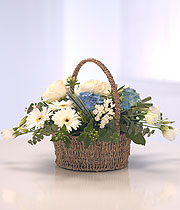 Baby Blue Basket