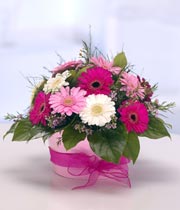 Baby Girl Container