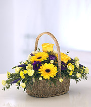 Bold Basket