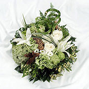 Textured Green and White