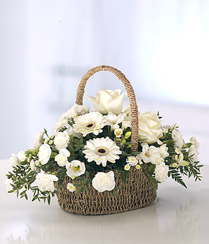 Pure Basket