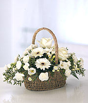 Pure Basket