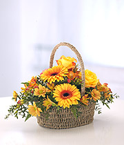 Rich Basket