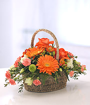 Vivid Basket